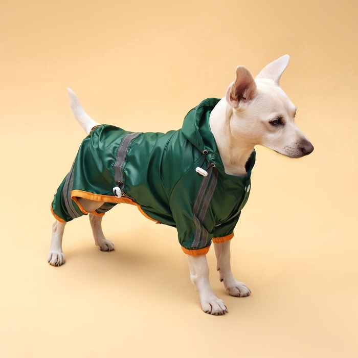 Комбинезон для собак, демисезонный, размер XL (ДС 31-33, Ог 47-49, ОШ 35-37 см), зелёный - Фото 1