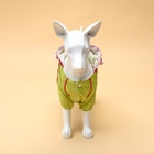 Комбинезон для собак, демисезонный с сумкой, размер XL (ДС 37, Ог 49, ОШ 33 см), салатовый - Фото 2