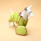 Комбинезон для собак, демисезонный с сумкой, размер XL (ДС 37, Ог 49, ОШ 33 см), салатовый - Фото 5