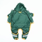 Комбинезон для собак, демисезонный, размер 2XL (ДС 34-36, Ог 51-53, ОШ 39-41 см), зелёный - Фото 12