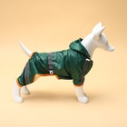 Комбинезон для собак, демисезонный, размер 2XL (ДС 34-36, Ог 51-53, ОШ 39-41 см), зелёный - Фото 3