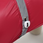 Комбинезон для собак, демисезонный, размер 2XL (ДС 34-36, Ог 51-53, ОШ 39-41 см), красный - Фото 7