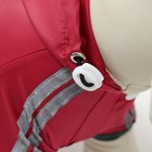 Комбинезон для собак, демисезонный, размер 2XL (ДС 34-36, Ог 51-53, ОШ 39-41 см), красный - Фото 8