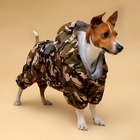 Комбинезон для собак, демисезонный с подкладом, размер 2XL (ДС 42, Ог 56 см), камуфляжный - Фото 1