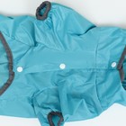 Комбинезон для собак, демисезонный, с козырьком, размер 2XL, ДС 45, Ог 62, ОШ 47 см, голубой - Фото 11