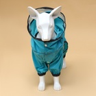 Комбинезон для собак, демисезонный с козырьком, размер 3XL (ДС 50, Ог 67, ОШ 51 см), голубой - Фото 3