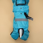 Комбинезон для собак, демисезонный с козырьком, размер 3XL (ДС 50, Ог 67, ОШ 51 см), голубой - Фото 6