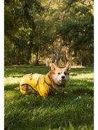 Комбинезон для собак, демисезонный с козырьком, размер 3XL (ДС 50, Ог 67, ОШ 51 см), жёлтый - Фото 11