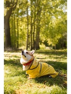 Комбинезон для собак, демисезонный с козырьком, размер 3XL (ДС 50, Ог 67, ОШ 51 см), жёлтый - Фото 12