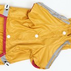 Комбинезон для собак, демисезонный, размер XL (ДС 31-33, ОГ 47-49, ОШ 35-37 см), жёлтый - Фото 11