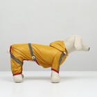 Комбинезон для собак, демисезонный, размер XL (ДС 31-33, ОГ 47-49, ОШ 35-37 см), жёлтый - Фото 3