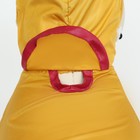 Комбинезон для собак, демисезонный, размер XL (ДС 31-33, ОГ 47-49, ОШ 35-37 см), жёлтый - Фото 7