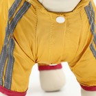 Комбинезон для собак, демисезонный, размер XL (ДС 31-33, ОГ 47-49, ОШ 35-37 см), жёлтый - Фото 10