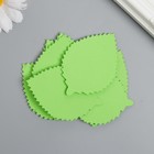Заготовка из фоамирана "Листья" 7х5 см, толщ. 1мм, набор 10 шт, зелёный - фото 45453372