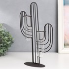 Фигурка с колбами (вазонами) «Кактус», чёрный, 19×5.5×27 см - Фото 3