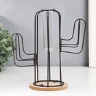 Фигурка с колбой (вазоном) «Кактус», чёрный, 20×12×22.5 см - Фото 1