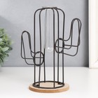 Фигурка с колбой (вазоном) «Кактус», чёрный, 20×12×22.5 см - Фото 3