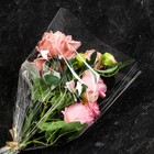 Пакет для цветов, конус на 1 розу, 6+21*80см, прозрачный - Фото 3