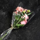Пакет для цветов, конус под гладиолус, 14+52*80см, прозрачный - фото 10436416