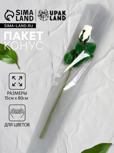 Пакет для цветов, конус, 5+15×80 см, прозрачный