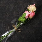 Пакет для цветов, конус, 8+15?70 см, прозрачный (комплект 50 шт) - фото 24340704