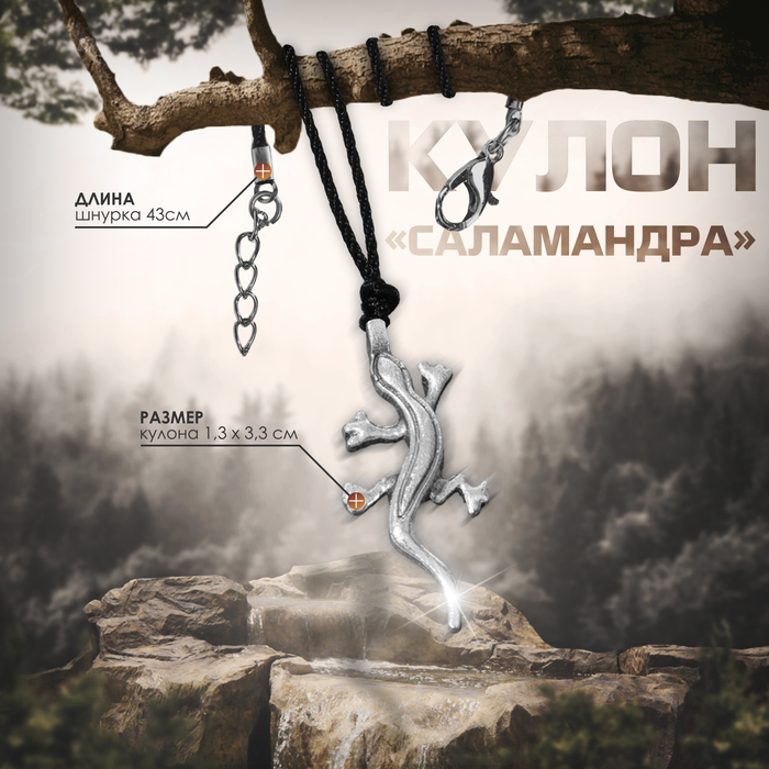 Кулон-амулет «Саламандра», цвет чернёное серебро на чёрном шнурке, 43 см - Фото 1
