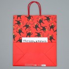 Пакет подарочный крафтовый, упаковка, «Поздравляю», 28 х 32 х 15 см - Фото 7