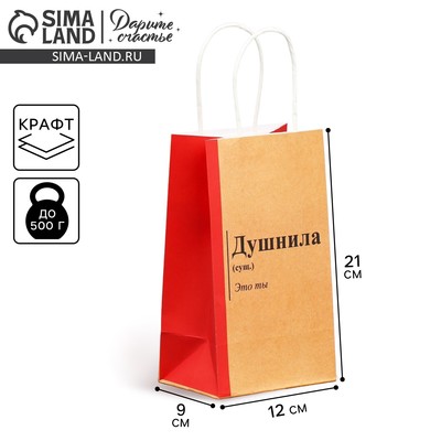 Пакет подарочный крафтовый, упаковка, «Душнила», 12×21×9 см