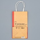 Упаковка, пакет подарочный крафтовый, «Суетолог», 12 х 21 х 9 см - Фото 7