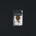 Брелок для ключей, металлический, оберег «Богатство» диаметр 2.5 см - Фото 5