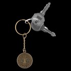 Брелок для ключей, металлический, оберег «Денежное дерево» диаметр 2.5 см - Фото 4