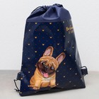 Мешок для обуви «Мопсик» (полиэстер) 41×30 см - Фото 2