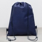 Мешок для обуви «Динозавр» (полиэстер) 41×30 см - Фото 6