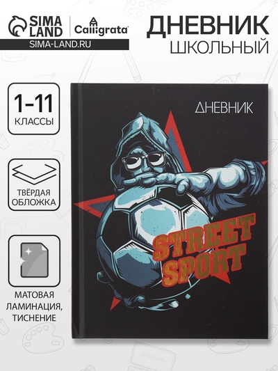 Дневник школьный для 1-11 классов, Street Sport, твёрдая обложка 7БЦ, матовая ламинация, тиснение фольгой, 40 листов