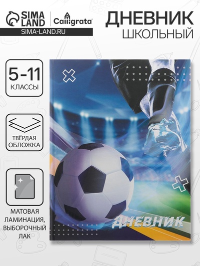 Дневник школьный для 5-11 классов, «Мяч в воротах», твёрдая обложка 7БЦ, матовая ламинация, выборочный лак, 48 листов