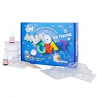 Набор для опытов и экспериментов «Мыло Craft. Sea friends. Акватика» Юный химик - фото 24543938