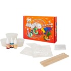 Набор для опытов и экспериментов «Мыло Craft. Дед Мороз. Ананас» Юный химик - фото 24543945