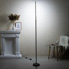 Торшер "Луч" LED 20Вт 4000К черный 100х150 см - фото 23133383