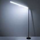 Торшер "Луч" LED 20Вт 4000К черный 100х150 см - фото 23133374