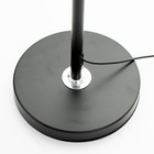 Торшер "Луч" LED 20Вт 4000К черный 100х150 см - фото 23133376