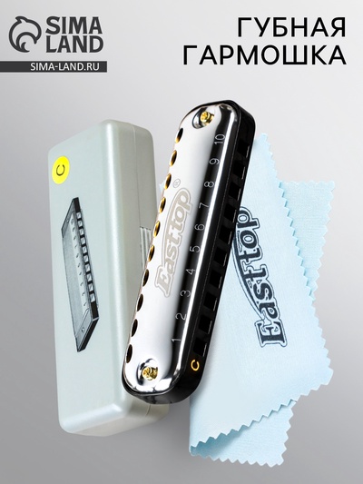 Губная гармошка Music Life T10-1 C BLACK диатоническая, 10 отверстий, с футляром