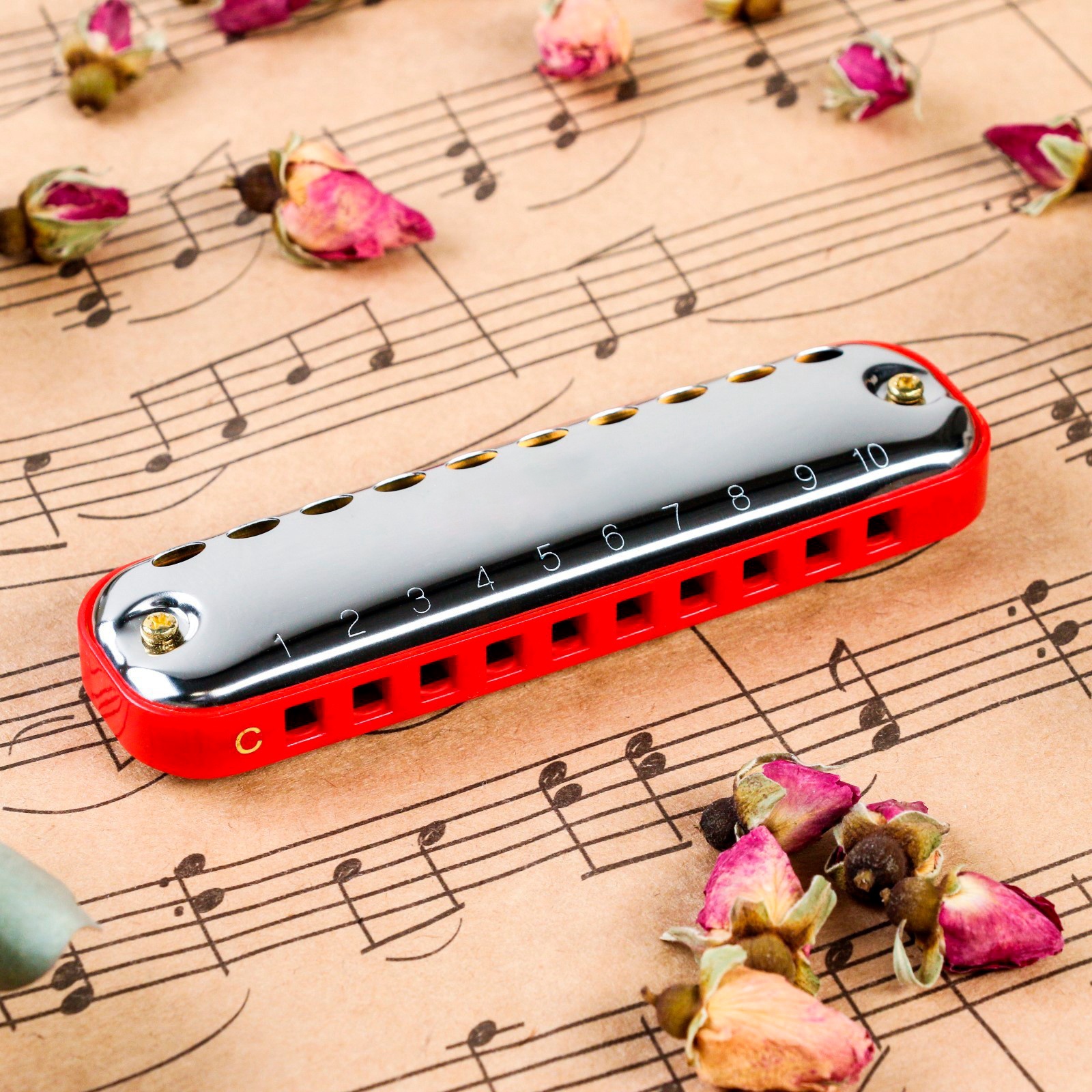 Solid music красная ул 97 фото Solid music красная ул 97 фото