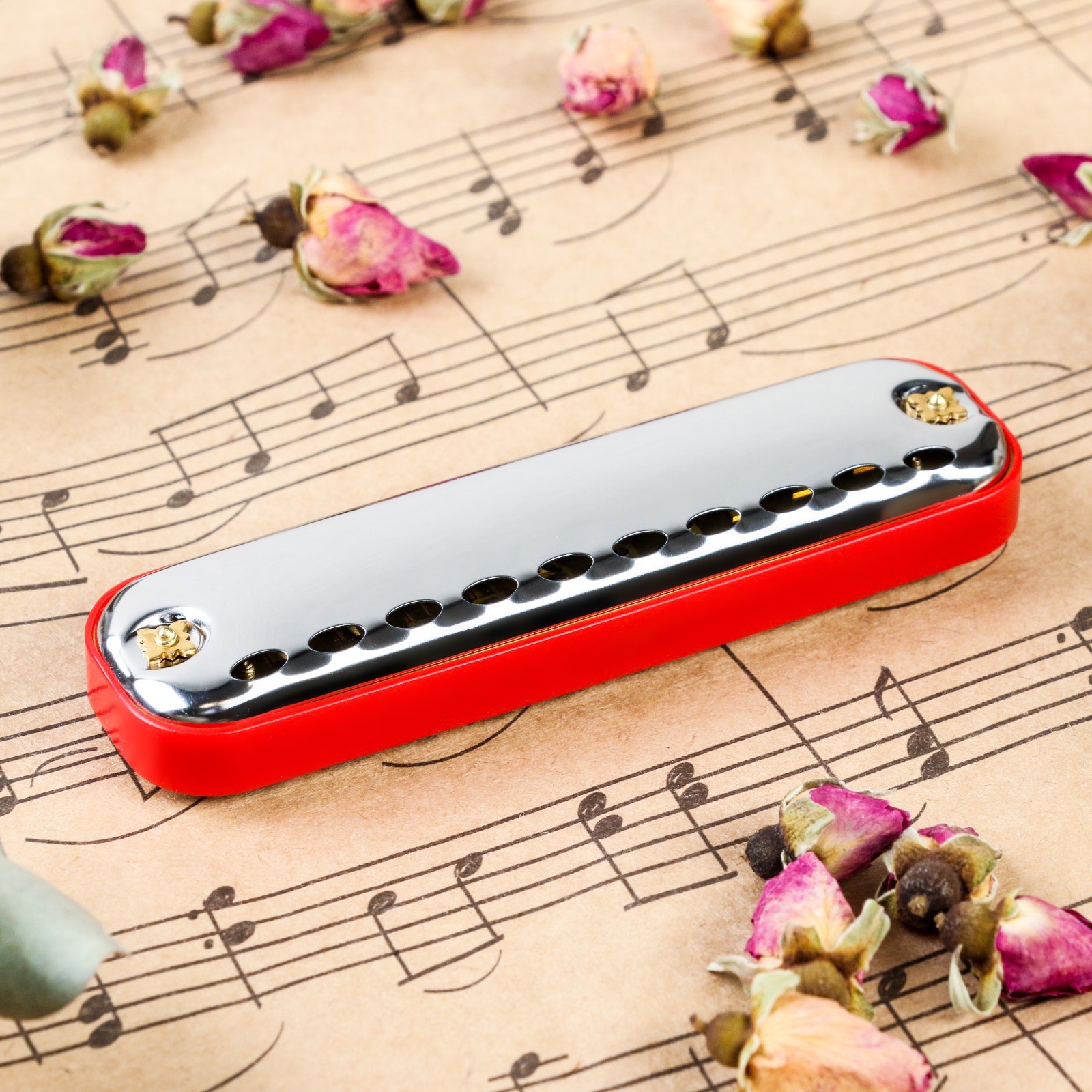 Solid music красная ул 97 фото Solid music красная ул 97 фото