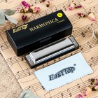 Губная гармошка Music Life T10-3 диатоническая, 10 отверстий, с футляром - Фото 1