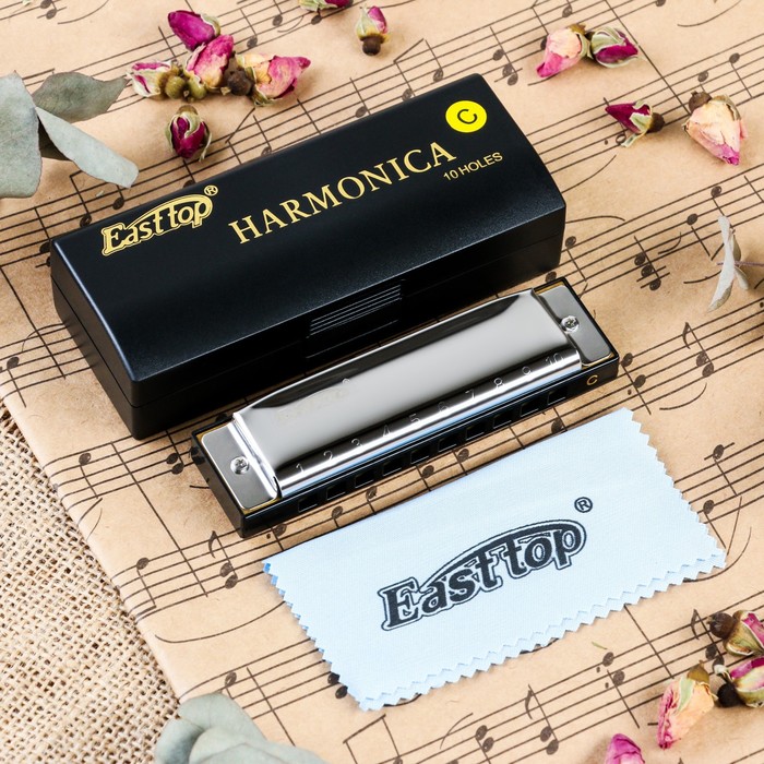 Губная гармошка Music Life T10-3 диатоническая, 10 отверстий, с футляром - Фото 1