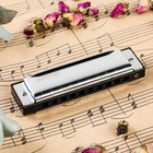 Губная гармошка Music Life T10-3 диатоническая, 10 отверстий, с футляром - Фото 2