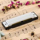 Губная гармошка Music Life T10-3 диатоническая, 10 отверстий, с футляром - Фото 3