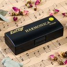 Губная гармошка Music Life T10-3 диатоническая, 10 отверстий, с футляром - Фото 4