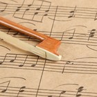 Смычок для скрипки Music Life 1/2 - фото 118973654 Смычок для скрипки Music Life 1/2 - фото 118973654