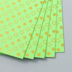 Фоамиран голография "Звёздочки на ярко-зелёном" 2 мм формат А4 набор 5 листов - фото 6892821